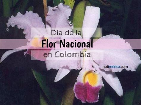 dia nacional de colombia